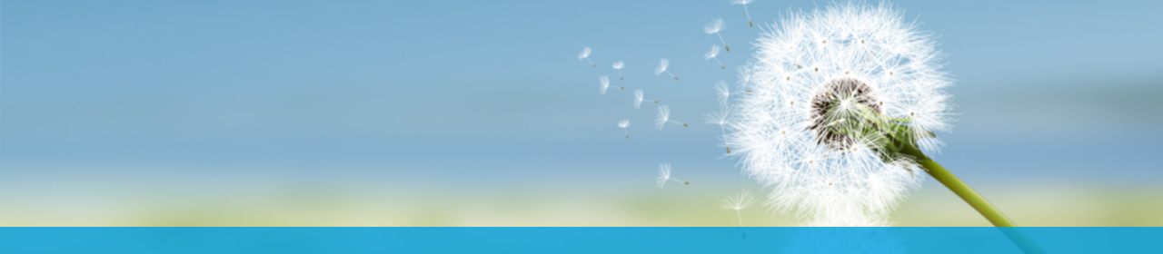 Apexfil - Industrial Filtration