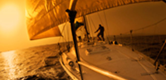 Novos Rumos - Apexfil